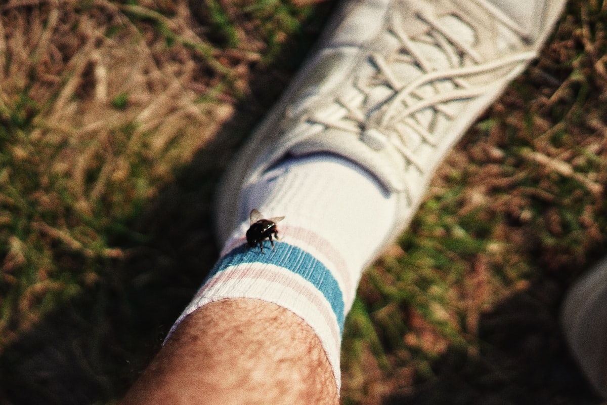 humble bumble bumblebee related to Everything You Need to Know About Bed Bug Bites on Legs