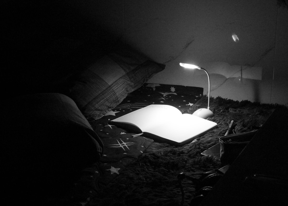 Journal Night related to Illuminate Your Nighttime Reads: The Best Reading Light for Bed