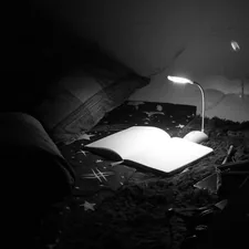 Journal Night related to Illuminate Your Nighttime Reads: The Best Reading Light for Bed