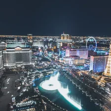 Las Vegas By Night related to Las Vegas Bed Bug Epidemic: Safety and Solutions
