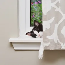 Lazy cat in a window sill. How I feel when there is no coffee? DEPRESSO! related to How Do You Make a Window Valance?