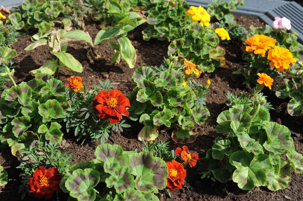 Life grows where we nurture it. related to Unlocking the Potential of Raised Flower Bed Kits