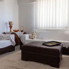 Living room with couches and ottoman related to Targeting Bed Bugs:  A Plastic Couch Cover Strategy