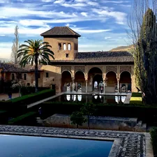 Lost in Wonderland related to La Hacienda Chiminea: A Warm and Cozy Gathering Place