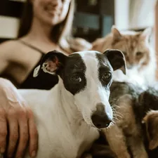 man in white t-shirt sitting beside white and black short coated dog related to Elevate Your Pet's Comfort: The Snoozer Luxury Cozy Cave Pet Bed