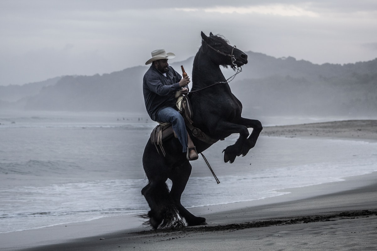 man riding black horse near by seashore related to Western Valances: Elegance for Your Windows