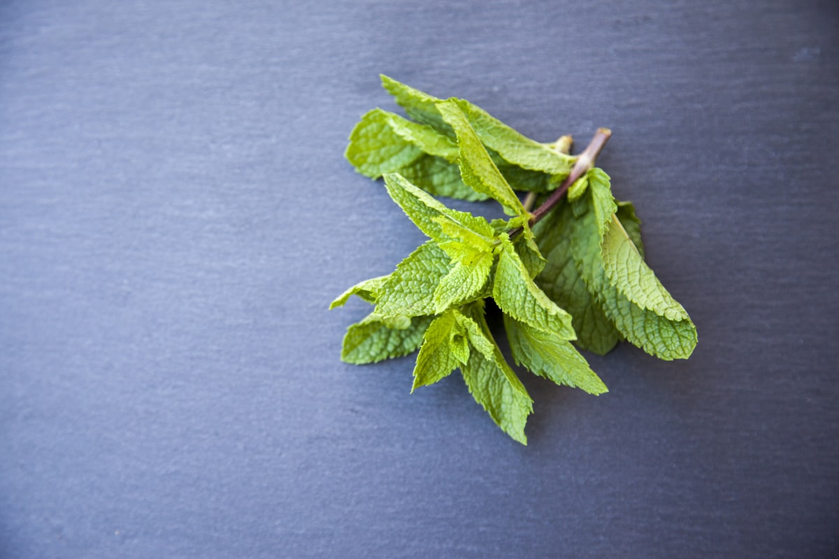Mint, herb, herbs related to Mint Green Valance: A Fresh and Elegant Window Treatment