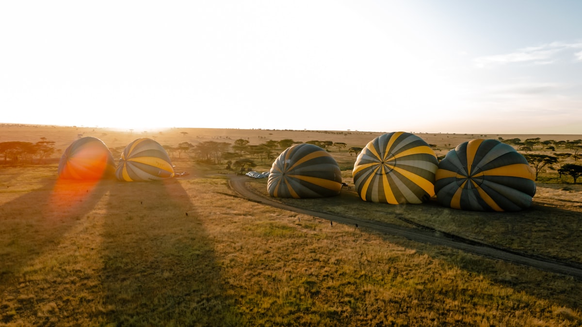 Miracle Experience Balloon Safaris related to Elevate Your Sleep with Hot Air Balloon Bedding