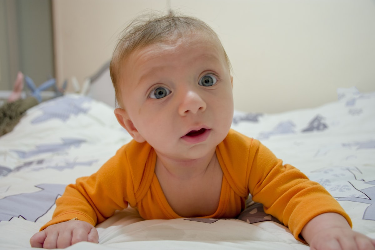 My cute baby ! related to Tiny Terror: Uncovering the Threat of Baby Bed Bugs