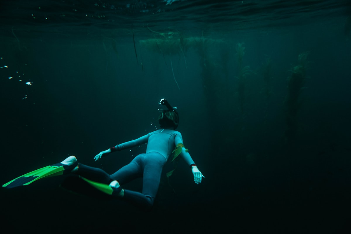 My son  has been my adventure partner since the day he was born. I used to have him swim just in front of me so I could always have my eye on him. Now he just out-swims me ;0) related to Unveiling the Enchantment: A Deep Dive into the Barbara Barry Cloud Nine Coverlet