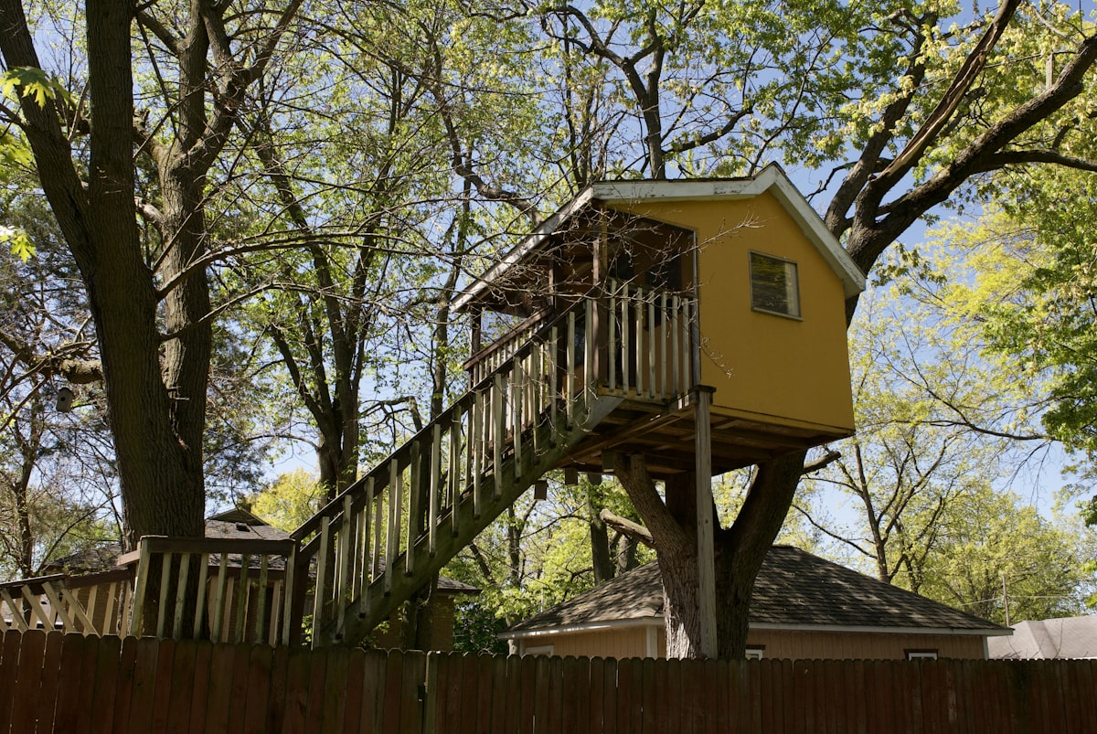 Nature  related to Tree House Bunk Beds: Elevate Your Kids' Sleeping Experience
