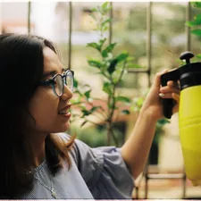 Ngoc Anh related to The Chemical Arsenal Against Bed Bugs: A Comprehensive Guide