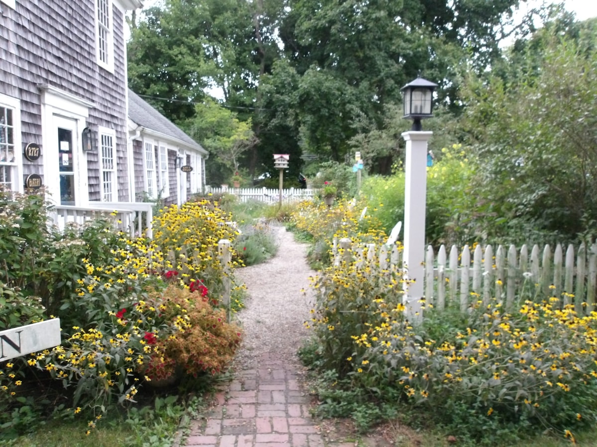 Old house in Cape Cod related to Exploring the Charm of St. Augustine Bed and Breakfasts
