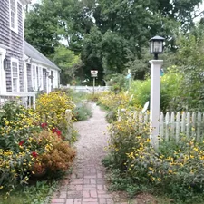 Old house in Cape Cod related to Exploring the Charm of St. Augustine Bed and Breakfasts