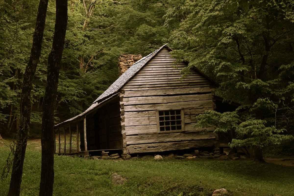 Old Smokey Mountain Cabin related to Discover the Charm of Log Cabin Beds: A Perfect Blend of Comfort and Nature