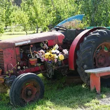Old tractor decorated with flowers in a field in Tasmania, Australia related to Building Your Dream Tracked Bed: Ultimate Guide to Plans and Design Ideas
