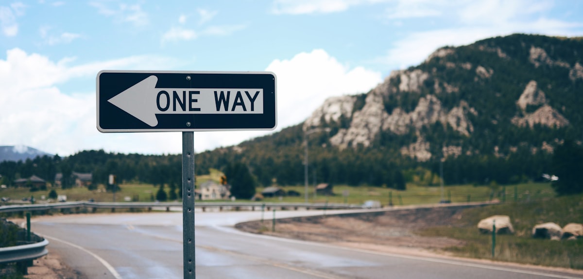 One Way street sign beside road far at the mountain during daytime related to Crushing the Bed Bug Epidemic: The Best Ways to Eradicate Them