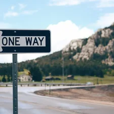One Way street sign beside road far at the mountain during daytime related to Crushing the Bed Bug Epidemic: The Best Ways to Eradicate Them