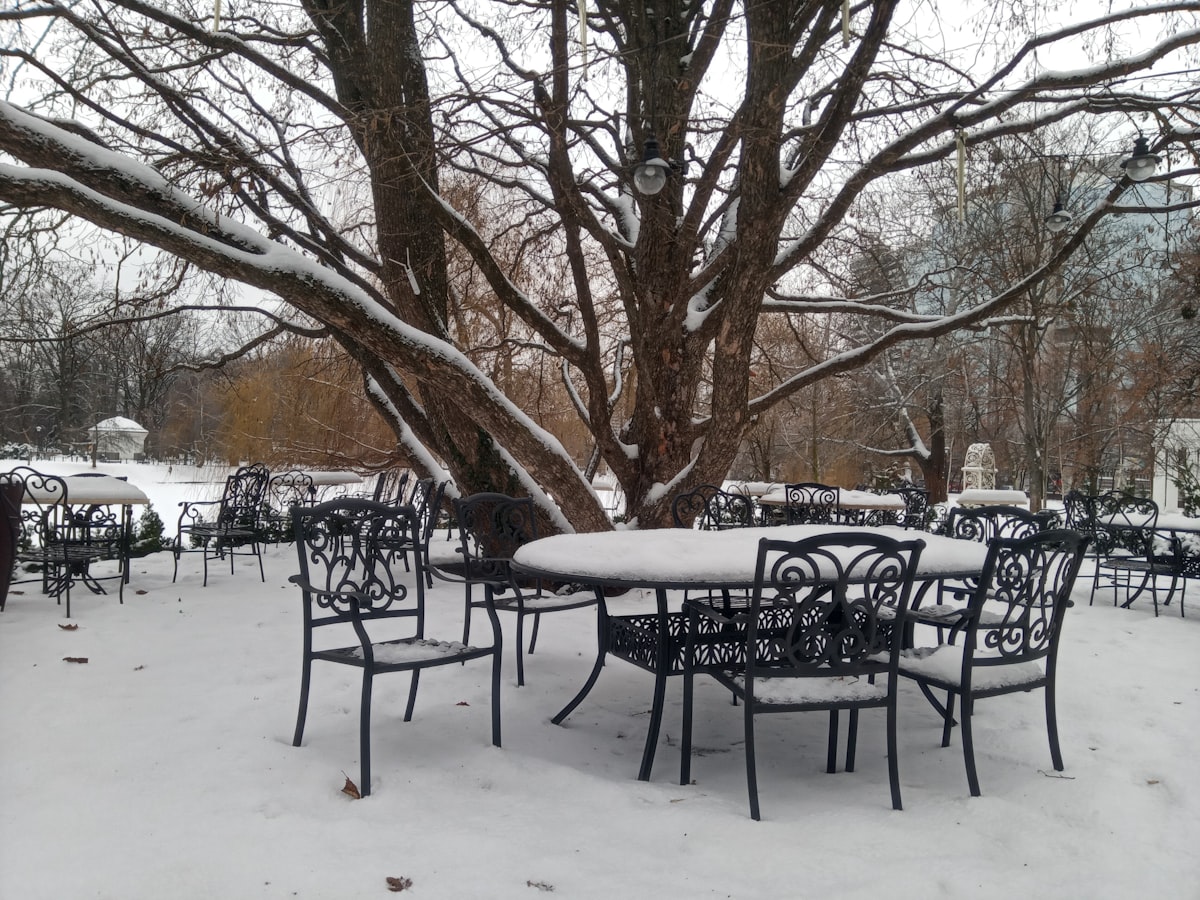Open terrace of the restaurant "Prague" (winter). Expocentre of Ukraine (VDNG), Kyiv. - Открытая терраса ресторана "Прага" (зима), Экспоцентр Украины (ВДНХ), Киев. related to Warming Up Your Outdoor Space: The Benefits of Cast Iron Patio Chimineas
