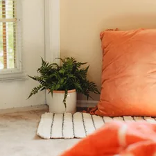 orange throw pillow related to Burnt Orange Coverlet: Elevate Your Home Decor