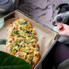 Our dog Riley is being served a vegan focaccia, yummy! You can follow him on Instagram @rileyvoff related to Pamper Your Pup: The Ultimate Guide to Pizza Dog Beds