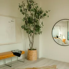 oval mirror with brown wooden frame related to Entryway Tree Bench: The Epitome of Welcoming Curb Appeal