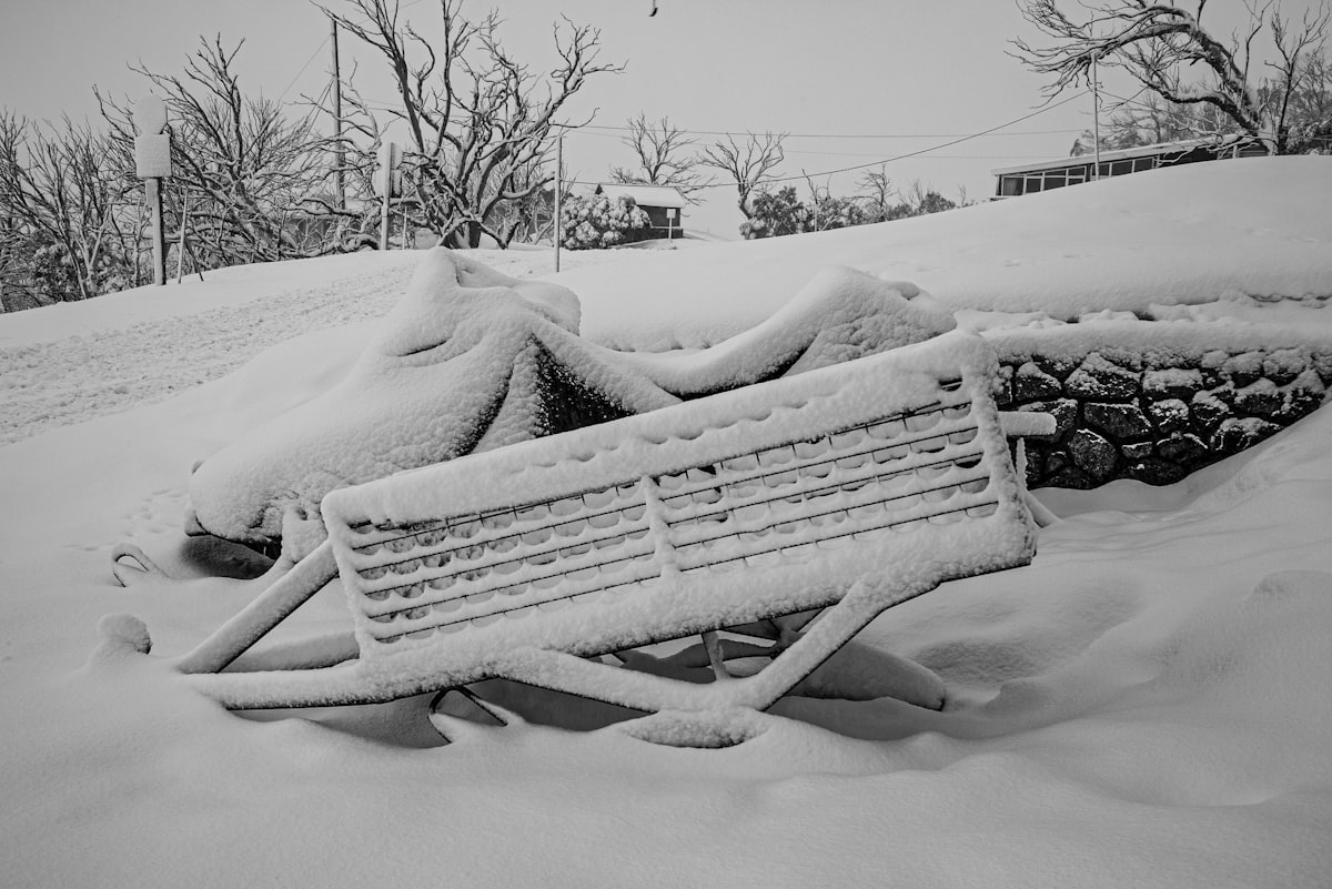 Overnight Snow left todays ride on the Ski mobile looking a bit cold.
 related to Choosing the Perfect Sleigh Bed Crib for Your Nursery