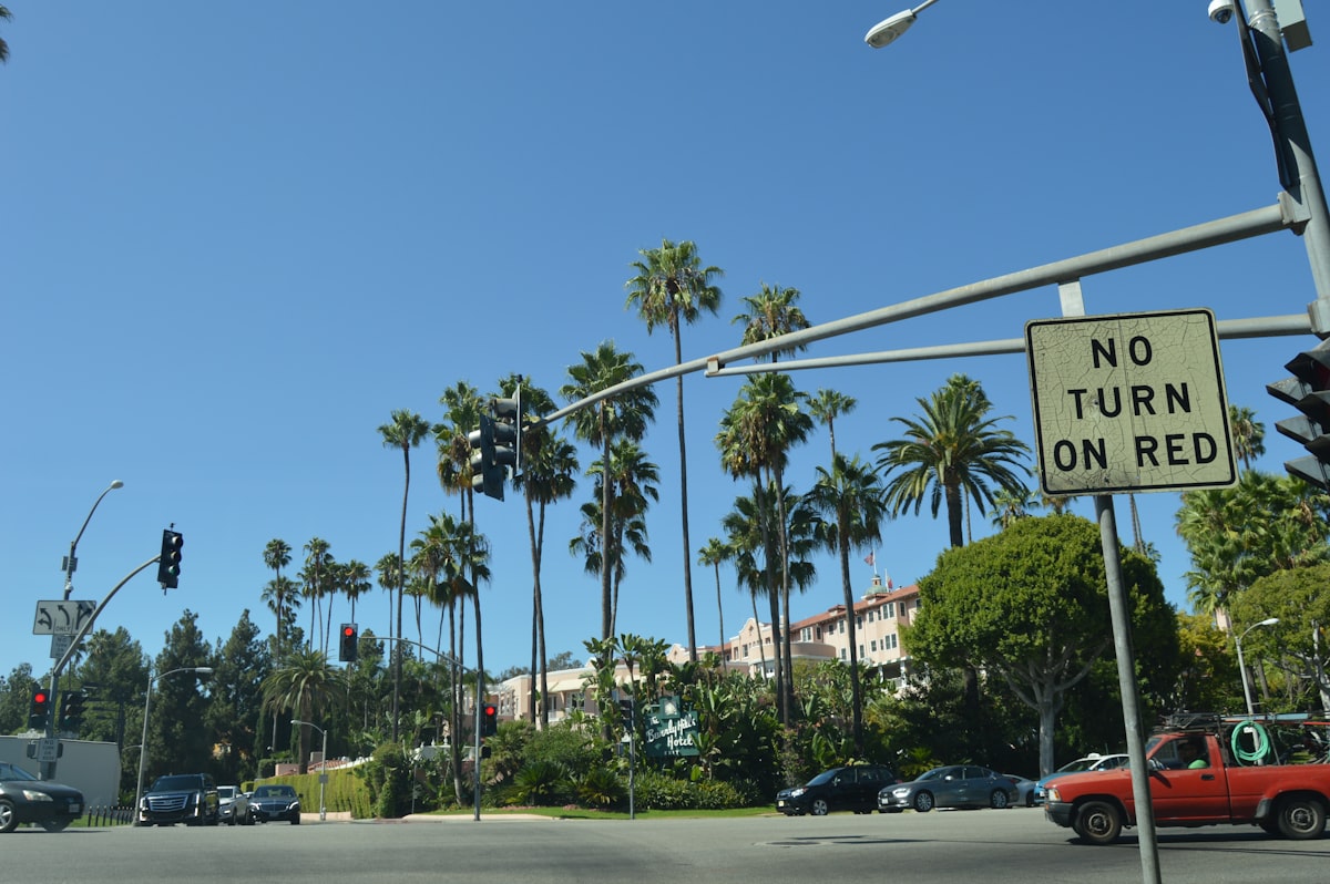 Palm trees line a street with buildings and cars. related to Top Bed and Breakfasts in West Palm Beach: A Cozy Getaway