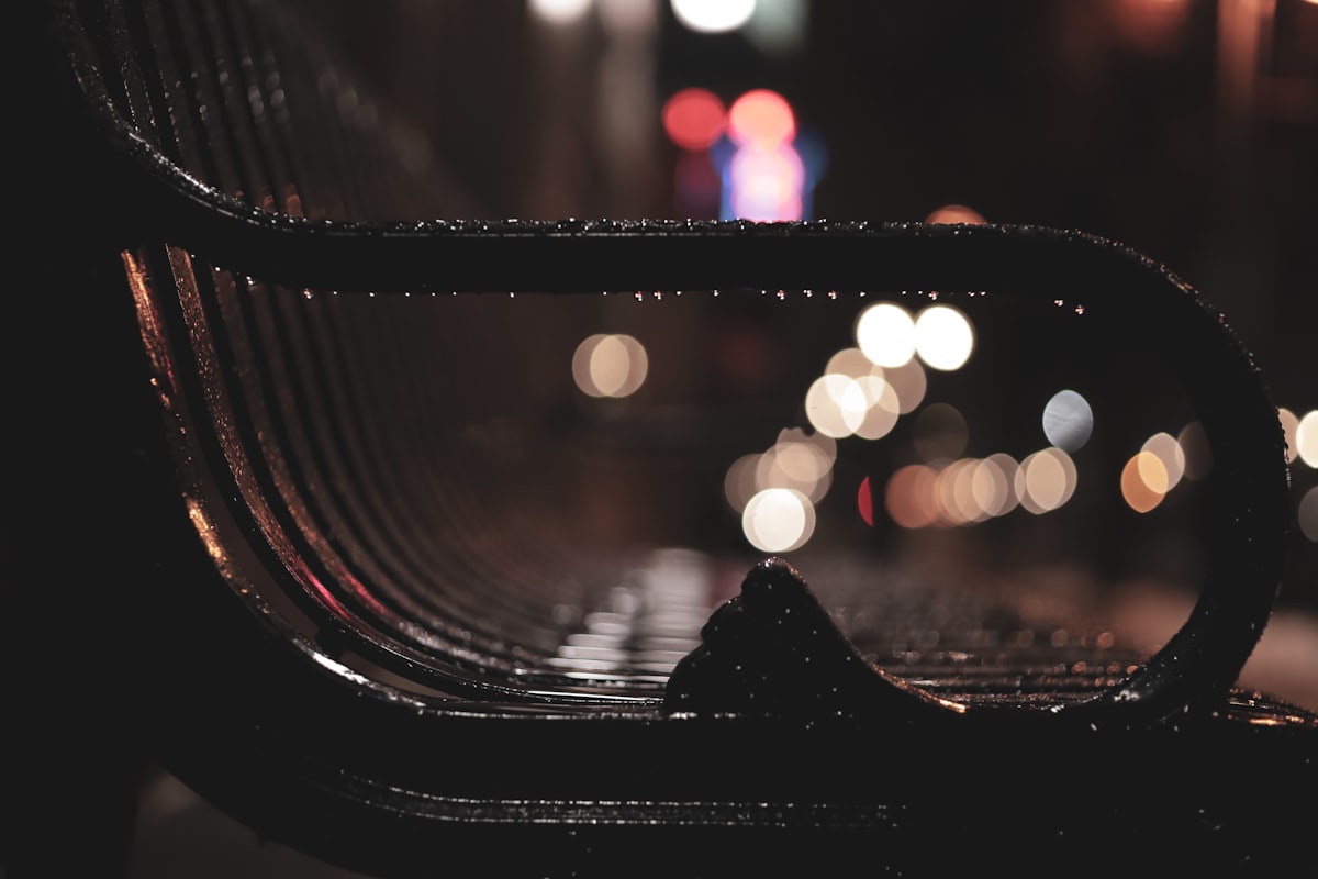 Park Bench in the rain related to Timeless Elegance: The Beauty of an Entryway Bench Black