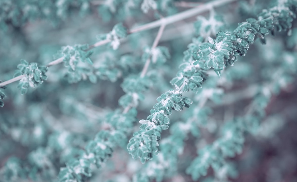 pastel backgrund  related to Embracing the Calming Charm of Seafoam Green Bedding