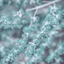 pastel backgrund  related to Embracing the Calming Charm of Seafoam Green Bedding