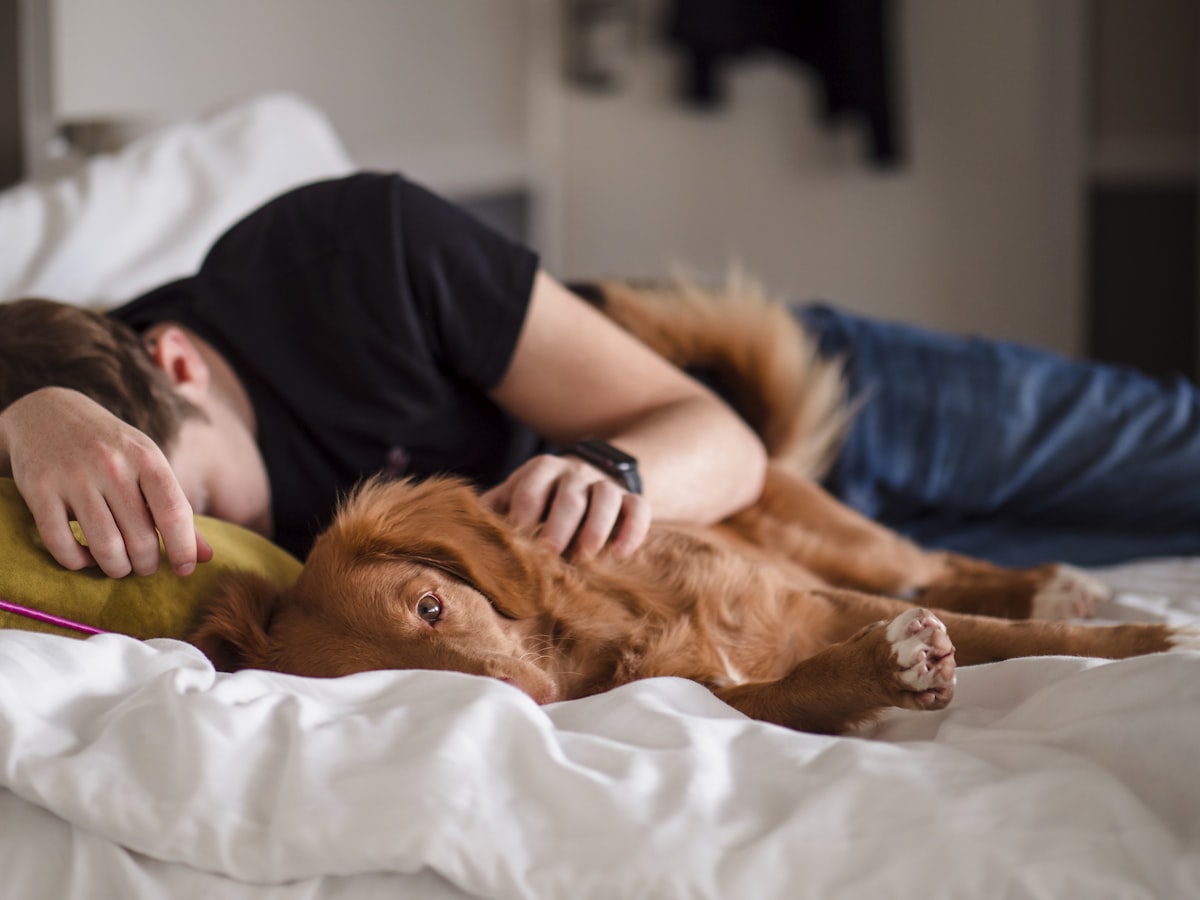 person in black shirt lying on bed related to Snuggle Up with Your Furry Friend: The Ultimate Shark Dog Bed Guide