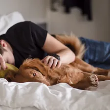 person in black shirt lying on bed related to Snuggle Up with Your Furry Friend: The Ultimate Shark Dog Bed Guide