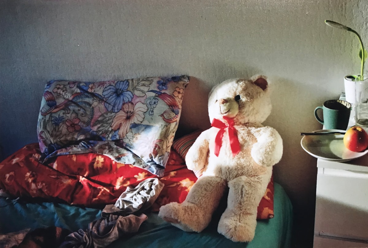 Picture of a picture (originally taken with a Canon T70) related to The Cozy Appeal of Teddy Bear Beds