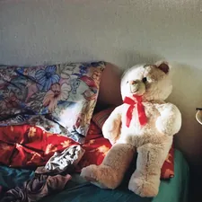 Picture of a picture (originally taken with a Canon T70) related to The Cozy Appeal of Teddy Bear Beds