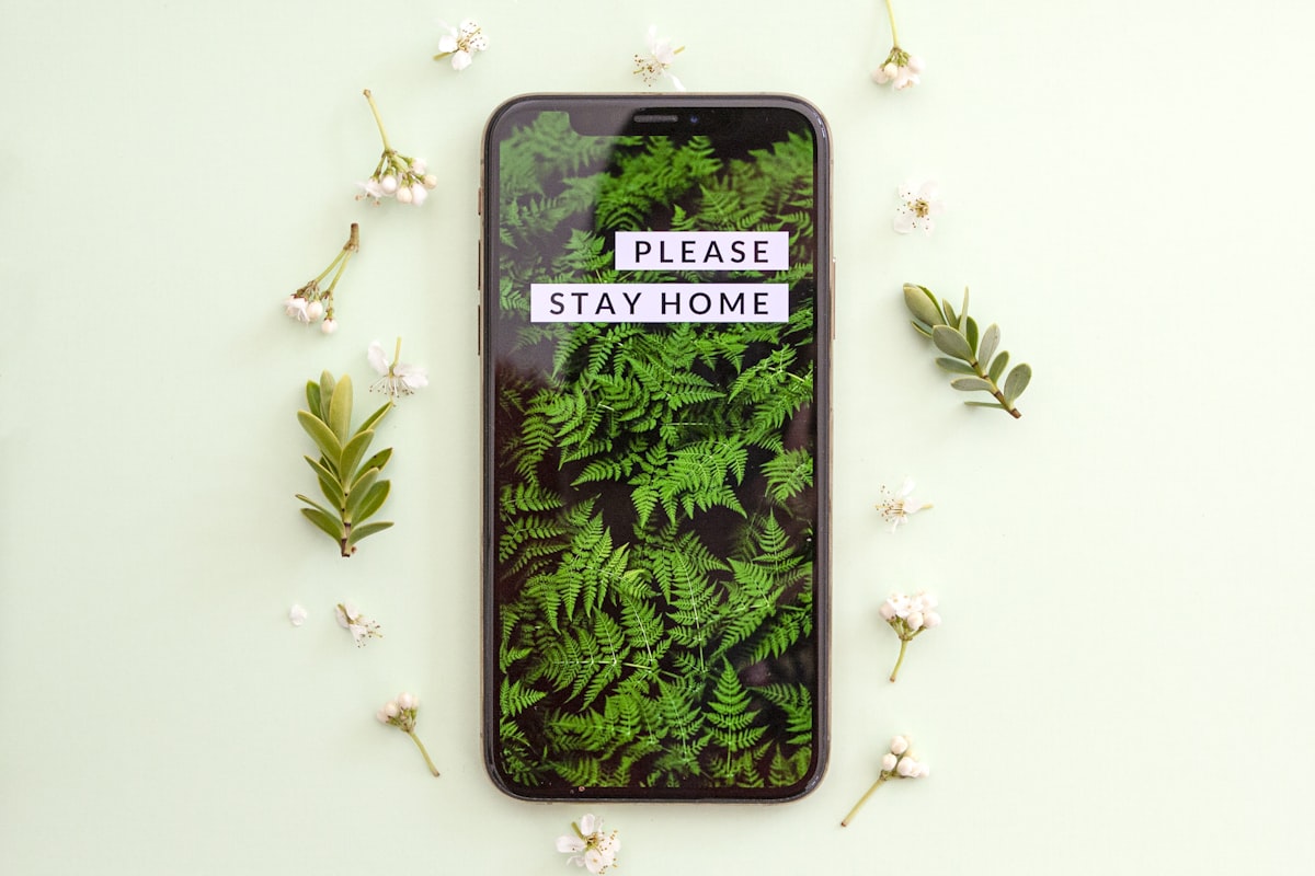 Please stay home #covid19 related to Safe and Effective Home Remedies for Bed Bugs
