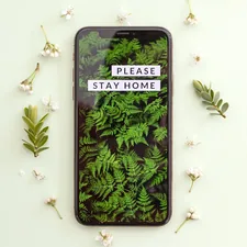 Please stay home #covid19 related to Safe and Effective Home Remedies for Bed Bugs
