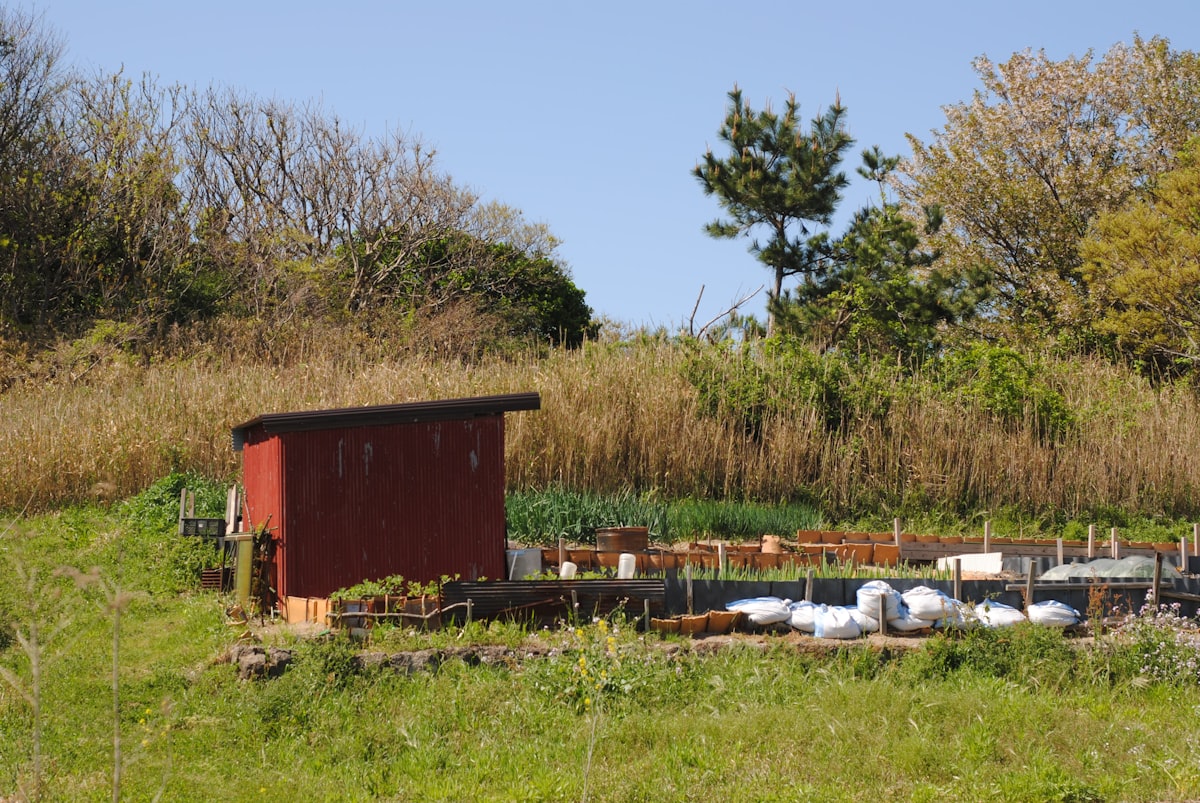 Red chicken coop with garden beds and white chickens. related to The Benefits of Elevated Gardening with Raised Vegetable Garden Beds