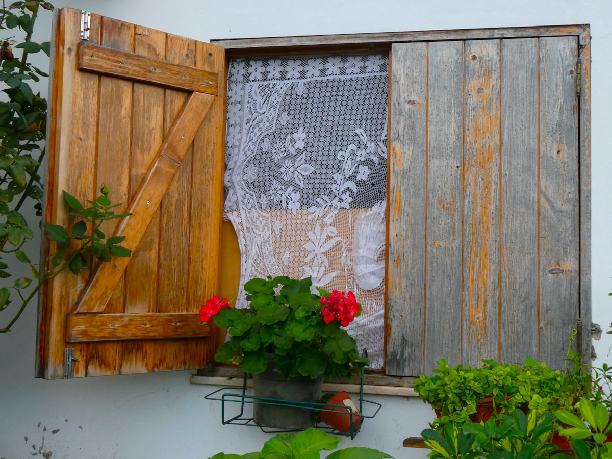 Red geraniums in a window box outside a half-shuttered window with lace curtains. related to Enhancing Your Box Window's Style with Versatile Valances