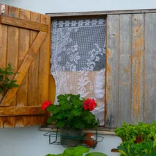 Red geraniums in a window box outside a half-shuttered window with lace curtains. related to Enhancing Your Box Window's Style with Versatile Valances