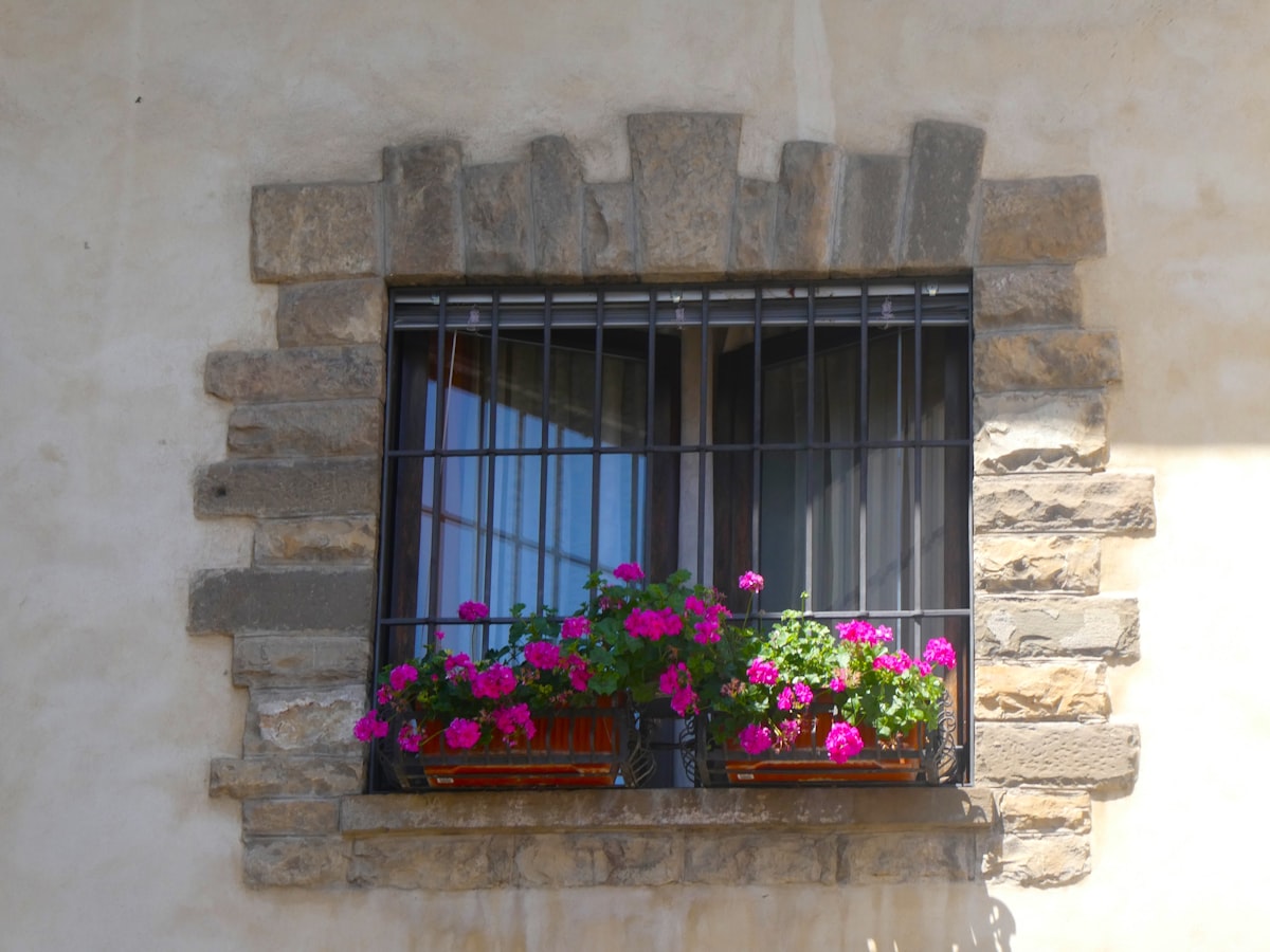 Red geraniums in window box, with bars related to How to Make a Window Box Valance