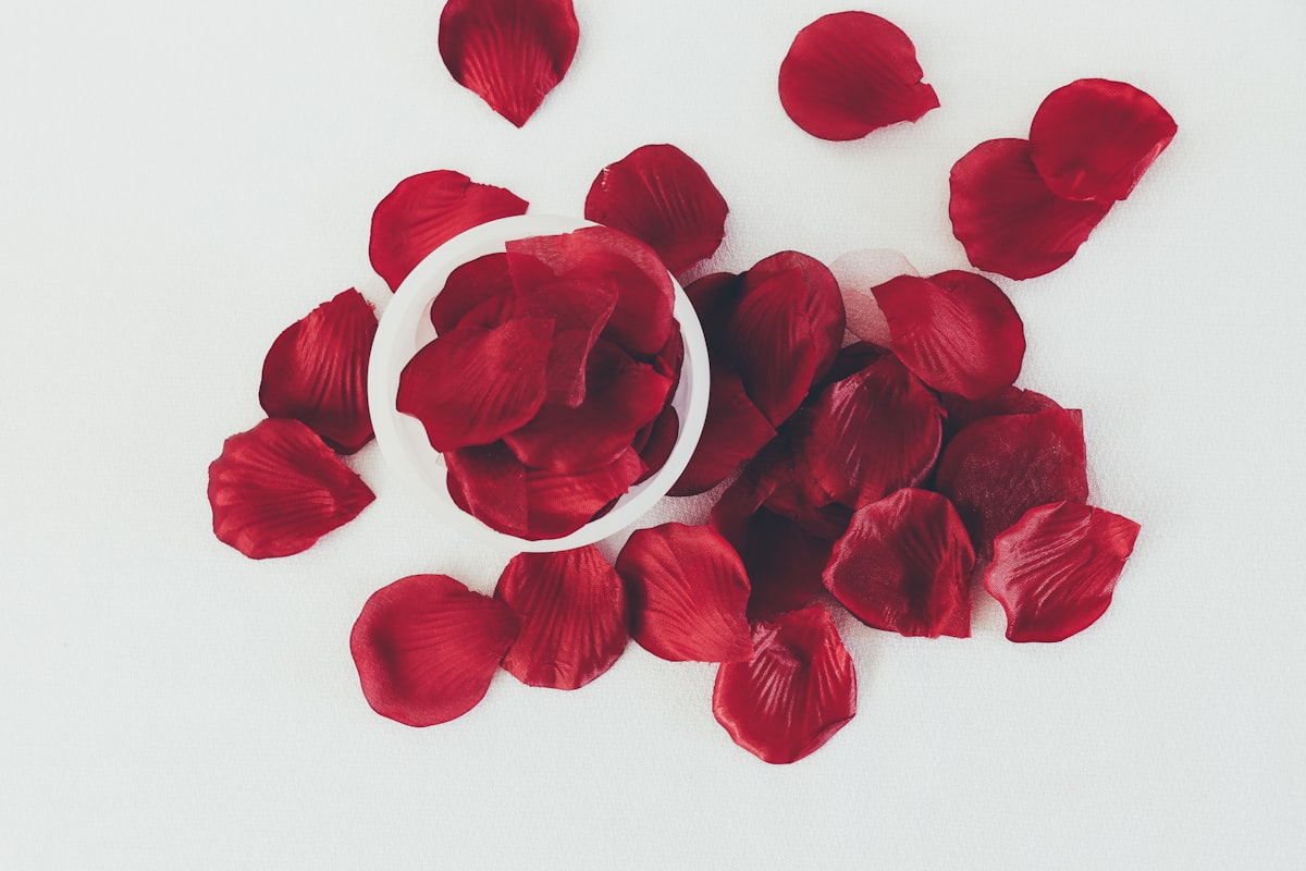 red rose petals on white surface related to Creating a Romantic Rose Petal Display on the Bed