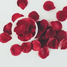 red rose petals on white surface related to Creating a Romantic Rose Petal Display on the Bed
