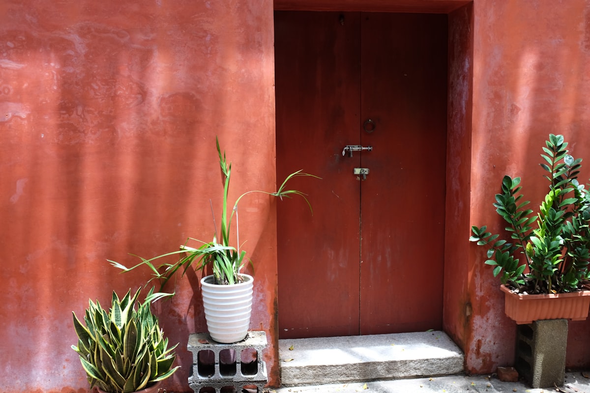 Red wall with a door and potted plants related to Stylish Red Entryway Tables to Elevate Your Home