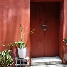 Red wall with a door and potted plants related to Stylish Red Entryway Tables to Elevate Your Home