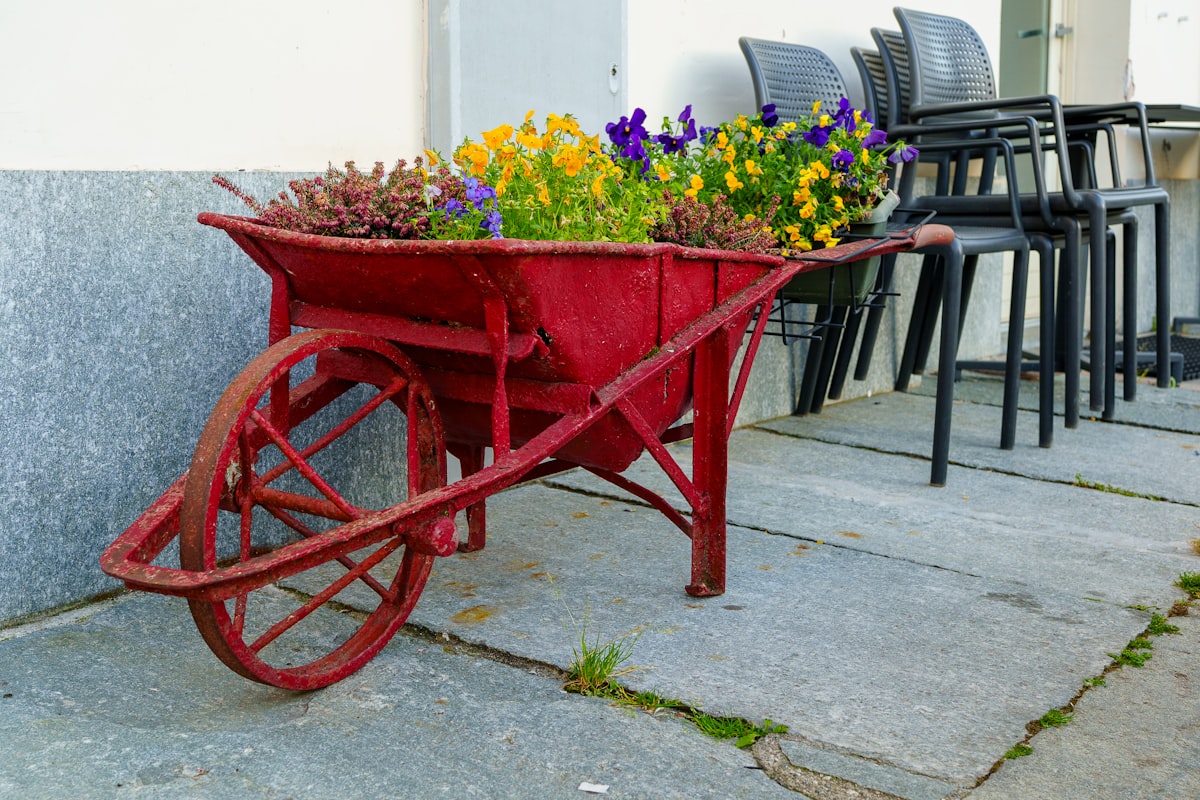 Red wheelbarrow filled with colorful flowers related to The Ultimate Guide to Raised Bed Planters