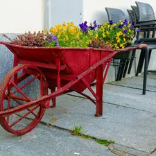 Red wheelbarrow filled with colorful flowers related to The Ultimate Guide to Raised Bed Planters