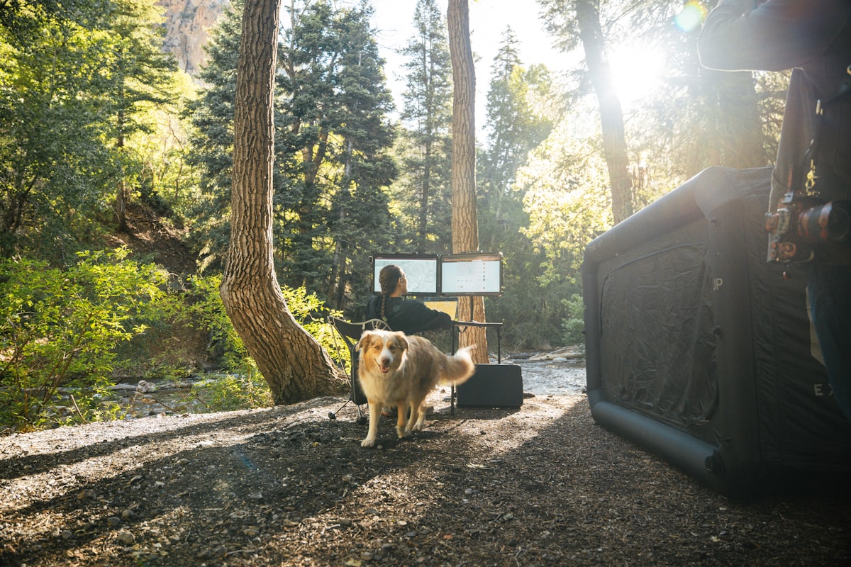 Remote working with Good Boy Billie. Camping lifestyle. related to Enhance Your Outdoor Experience