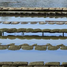 Rows of oyster cages submerged in water related to The Ultimate Guide to Water Beds and Stuff: A Deep Dive into Comfort and Innovation