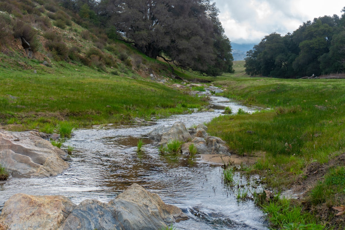Santa Ysabel, CA related to Transforming Dry Creek Beds into Beautiful Landscapes